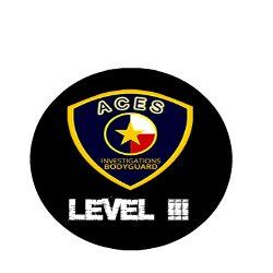 level iiI security training